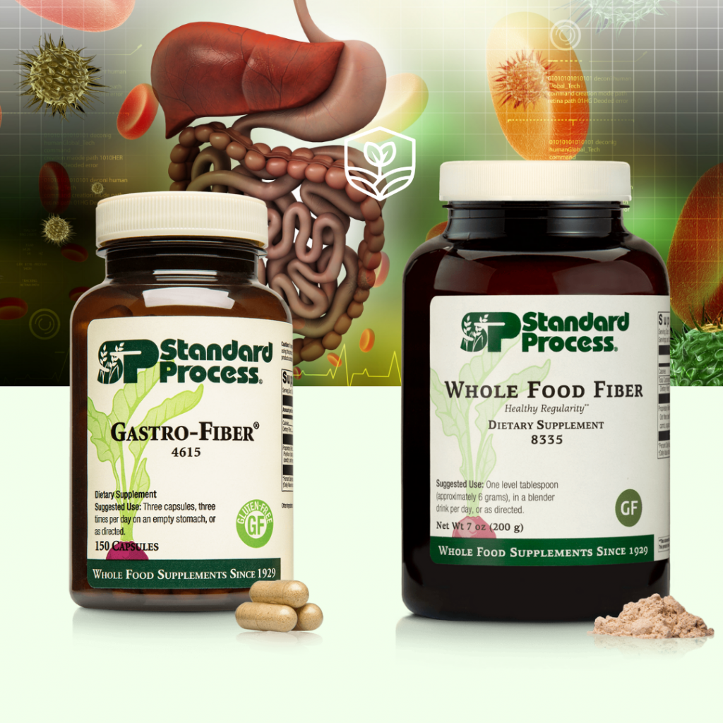 Standard Process Purification Gastro Fiber