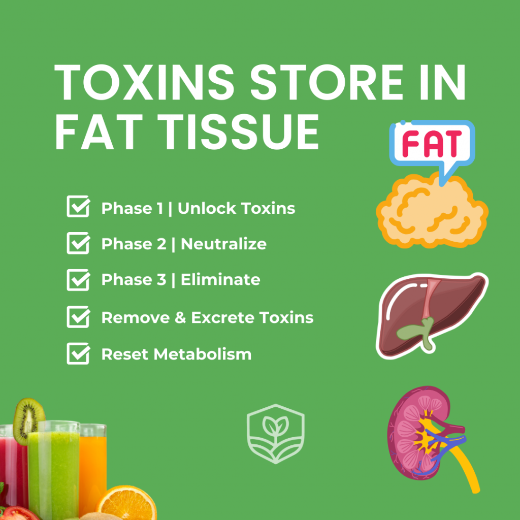 21 Day Purification Fat toxin storage