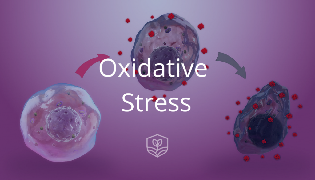 Oxidative Stress NHIC